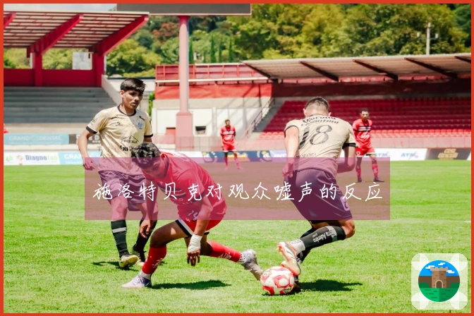 施洛特贝克对观众嘘声的反应