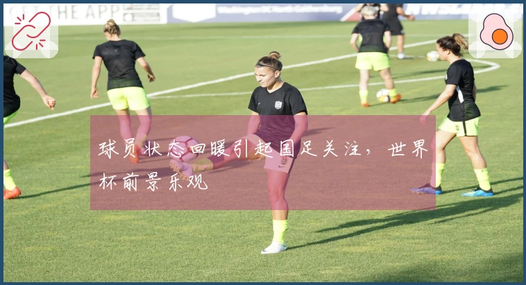 球员状态回暖引起国足关注，世界杯前景乐观